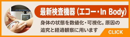最新検査機器(エコー・Inbody)